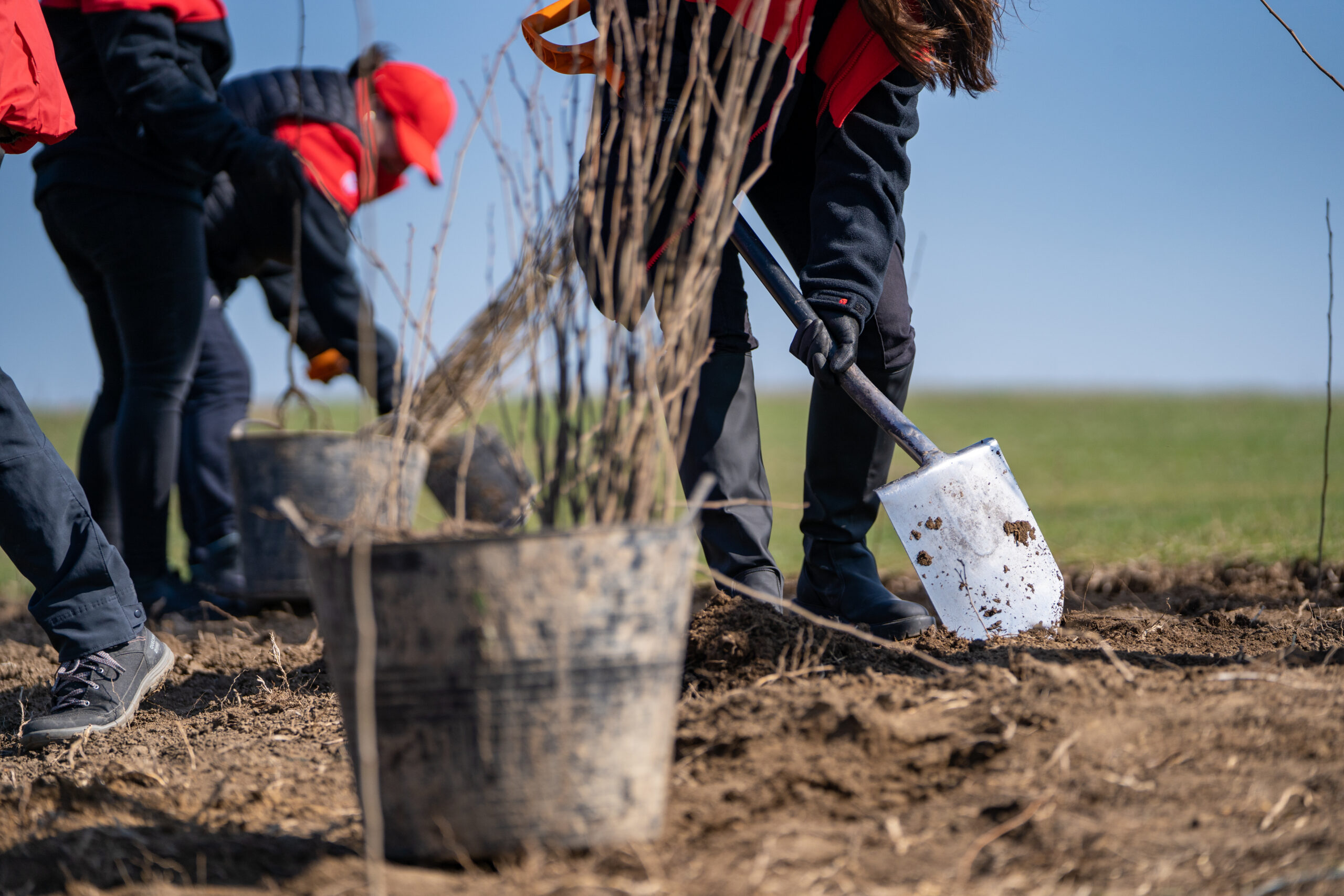 A pair of individuals using shovels to dig in soil